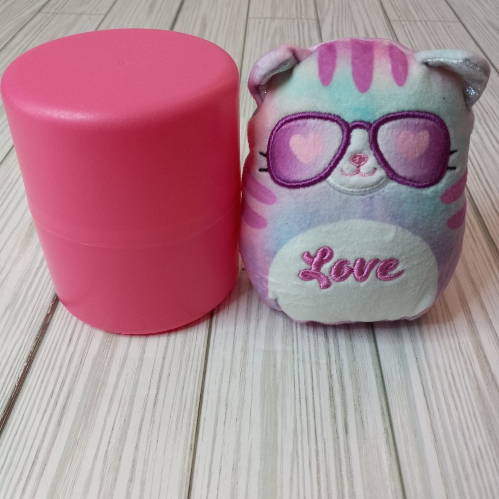 Squishmallows Love Kitty Cat Capsule